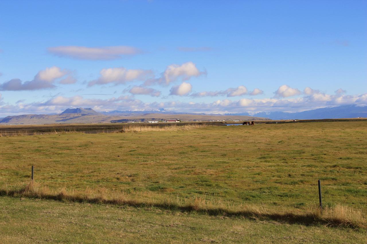 Armot Guesthouse Hvolsvollur Bagian luar foto